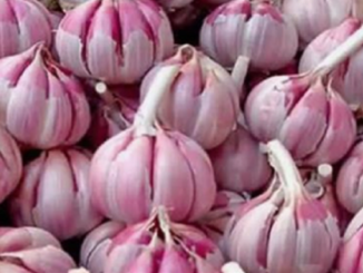 El ajo es capaz te ayuda con mas de 10 tipos de cáncer y 13 diferentes infecciones